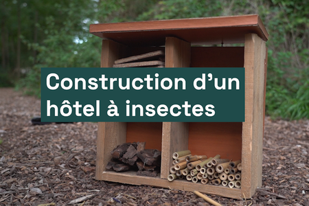 Hotel à insecte miniature